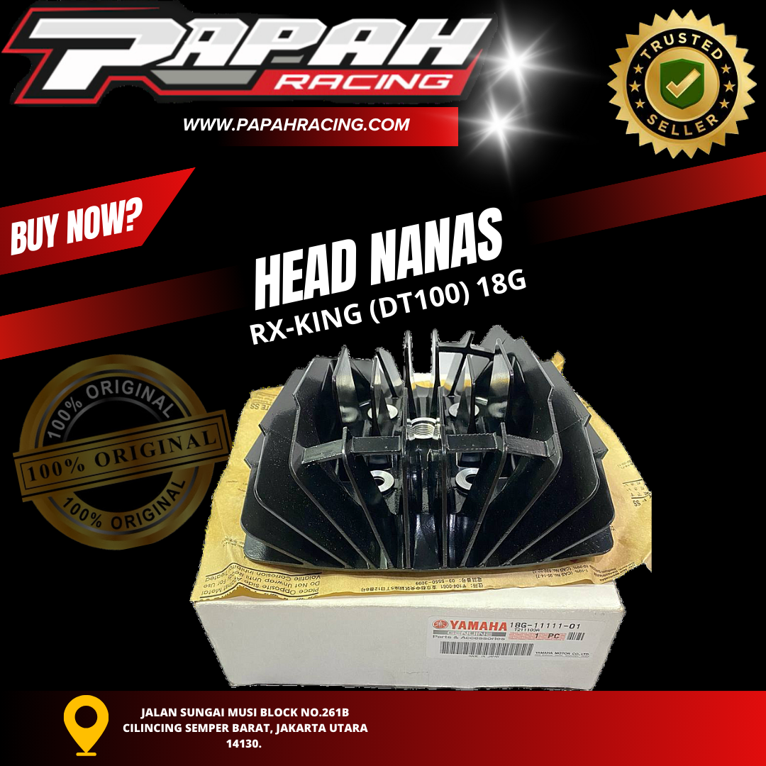 HEAD NANAS RXKING (DT100)18G